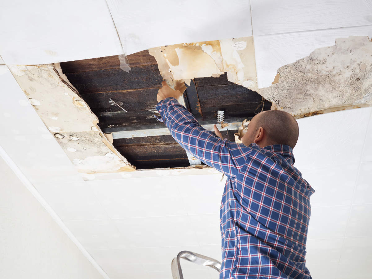 Expert Water Damage Restoration by Serviz in Palm Beach, FL